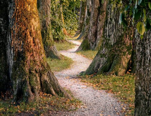 Understanding grief, a healthy response to trauma